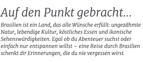 Auf den Punkt gebracht… Brasilien ist ein Land, das alle W nsche erf llt: ungez hmte Natur, lebendige Kultur, k stlic...