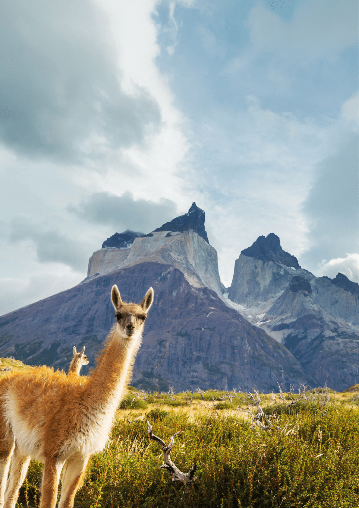 Beautiful mountain landscapes in Torres Del Paine National Park, Chile.