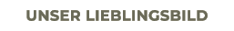 unser Lieblingsbild