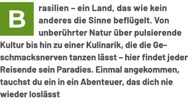 ￼rasilien – ein Land, das wie kein anderes die Sinne befl gelt. Von unber hrter Natur ber pulsierende Kultur bis hin...