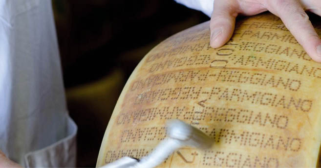 Hand klopft mit Metallhammer auf einen gro en Laib Parmigiano Reggiano.