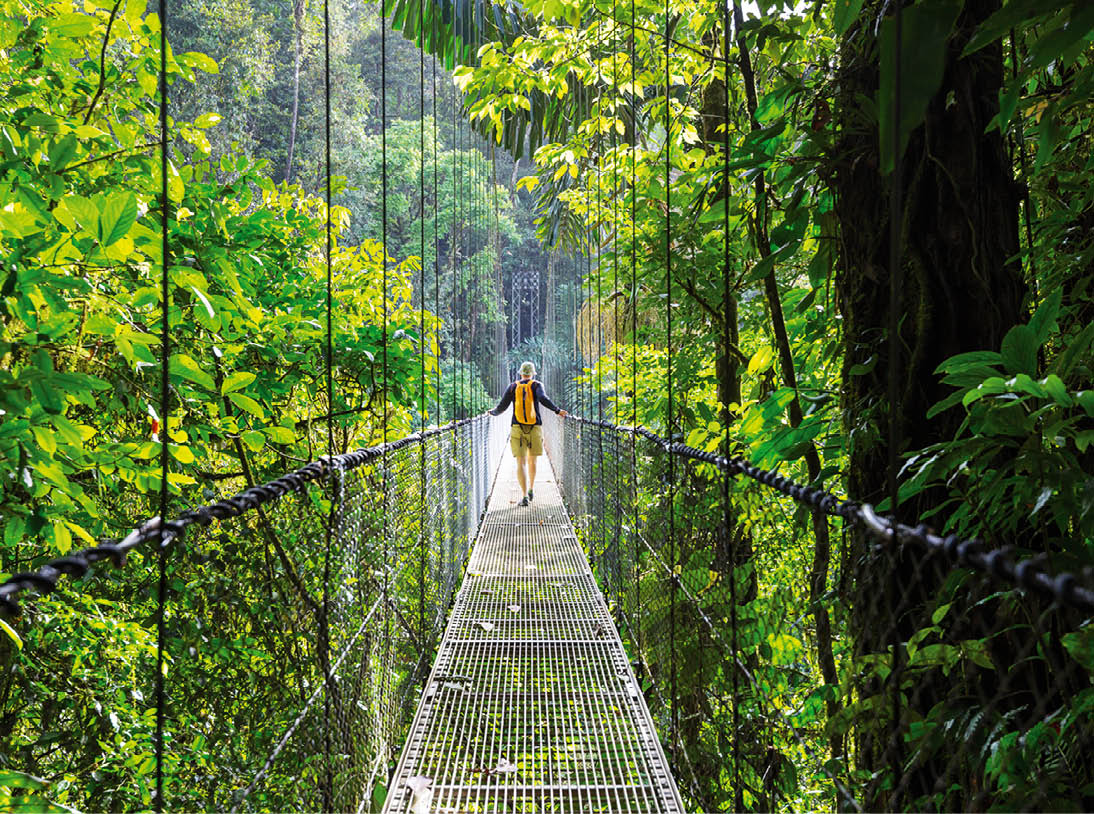 Hiking in green tropical jungle, Costa Rica, Central America