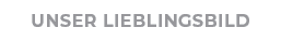 Unser Lieblingsbild