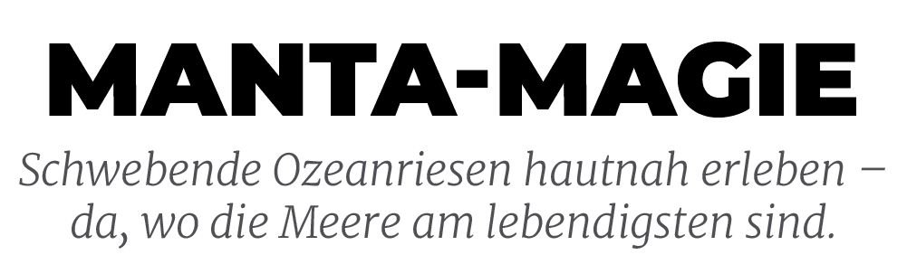 Schwebende Ozeanriesen hautnah erleben – da, wo die Meere am lebendigsten sind.,manta magi