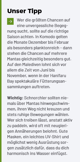 Unser Tipp ￼Wer die gr ten Chancen auf eine unvergessliche Begegnung sucht, sollte auf die richtige Saison achten. I...