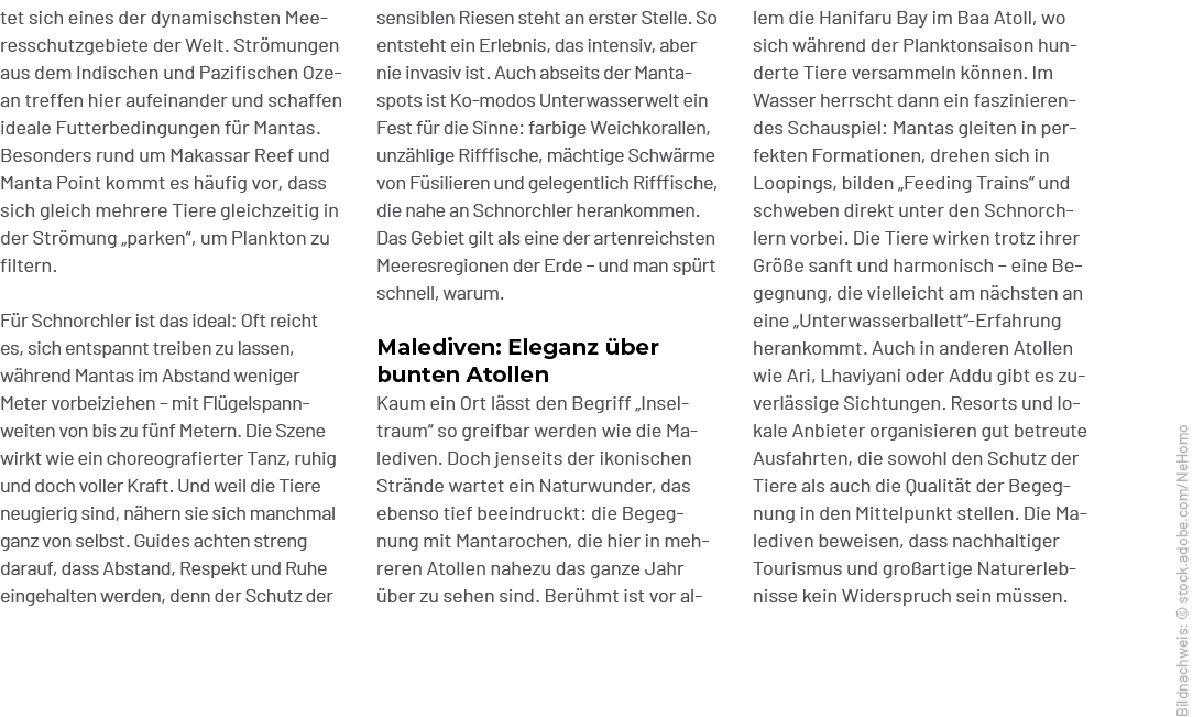 lem die Hanifaru Bay im Baa Atoll, wo sich w hrend der Planktonsaison hun derte Tiere versammeln k nnen. Im Wasser he...