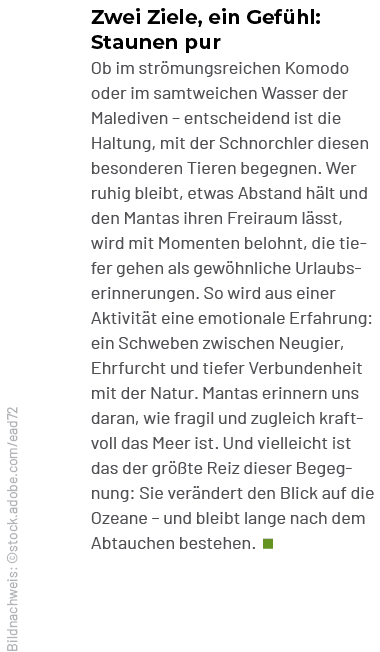 Zwei Ziele, ein Gef hl: Staunen pur Ob im str mungsreichen Komodo oder im samtweichen Wasser der Malediven – entschei...