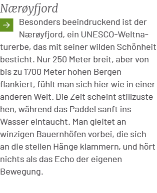 N r yfjord ￼Besonders beeindruckend ist der N r yfjord, ein UNESCO Weltnaturerbe, das mit seiner wilden Sch nheit bes...