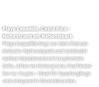 Playa Espadilla, Costa Rica – Naturstrand am Nationalpark Playa Espadilla liegt vor dem Manuel Antonio Nationalpark u...