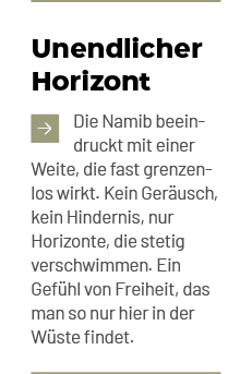 Unendlicher Horizont ￼Die Namib beein druckt mit einer Weite, die fast grenzenlos wirkt. Kein Ger usch, kein Hinderni...