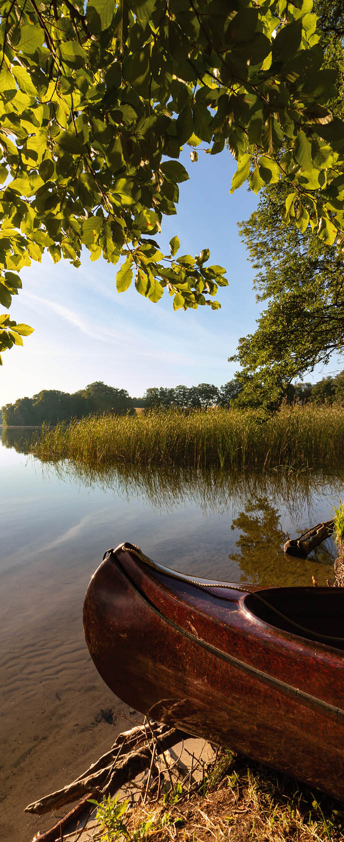 Dunkles Kanu liegt am Ufer eines ruhigen Sees, umgeben von B umen und Schilf.