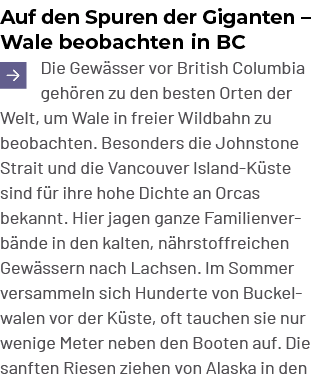 Auf den Spuren der Giganten – Wale beobachten in BC ￼Die Gew sser vor British Columbia geh ren zu den besten Orten de...