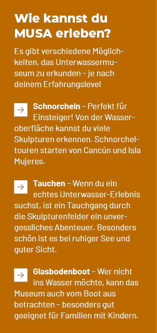 Wie kannst du MUSA erleben? Es gibt verschiedene M glichkeiten, das Unterwassermuseum zu erkunden – je nach deinem Er...