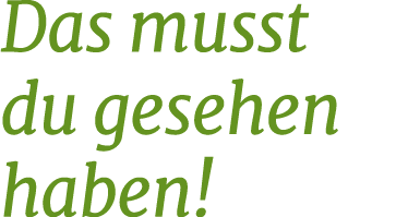 Das musst du gesehen haben!