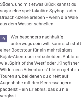 S den, und mit etwas Gl ck kannst du sogar eine spektakul re Spyhop oder Breach Szene erleben – wenn die Wale aus dem...
