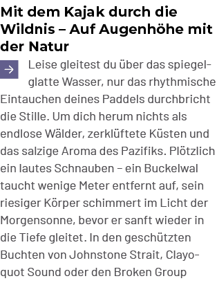 Mit dem Kajak durch die Wildnis – Auf Augenh he mit der Natur ￼Leise gleitest du ber das spiegelglatte Wasser, nur d...