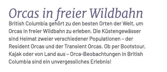 Orcas in freier Wildbahn British Columbia geh rt zu den besten Orten der Welt, um Orcas in freier Wildbahn zu erleben...
