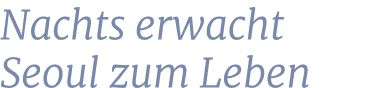 Nachts erwacht Seoul zum Leben
