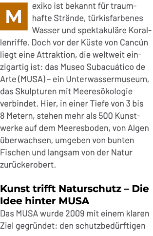 ￼exiko ist bekannt f r traumhafte Str nde, t rkisfarbenes Wasser und spektakul re Korallenriffe. Doch vor der K ste v...
