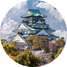 Cherry blossoms and castle in Osaka, Japan.