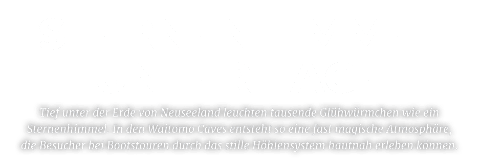 Tief unter der Erde von Neuseeland leuchten tausende Gl hw rmchen wie ein Sternenhimmel. In den Waitomo Caves entsteh...