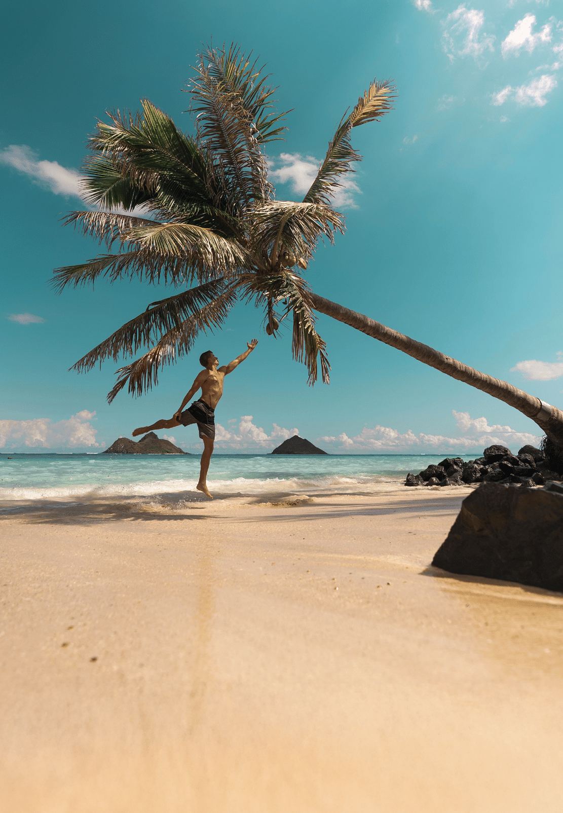 A vertical shot of a male jumping toward the bending palm in the seashore
