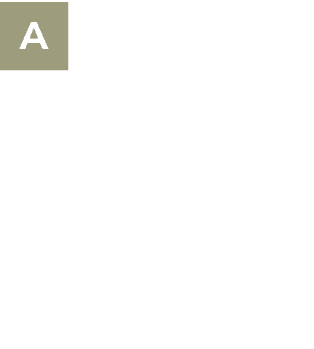 ￼m Fu e des majest tischen Mount Fuji liegt der Kawaguchi See – einer der f nf Fuji Seen und ein beliebter Ausgangspu...