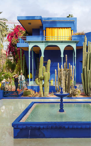 MARRAKECH, MOROCCO - FEBRUARY 22, 2016: The Majorelle Garden is a botanical garden and artist's landscape garden in Marrakech, Morocco.