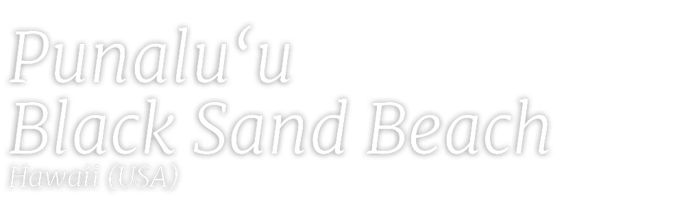 Punalu‘u Black Sand Beach Hawaii (USA)
