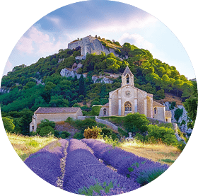 Lavendelfeld mit Weg zu Kirche vor bewaldetem H gel