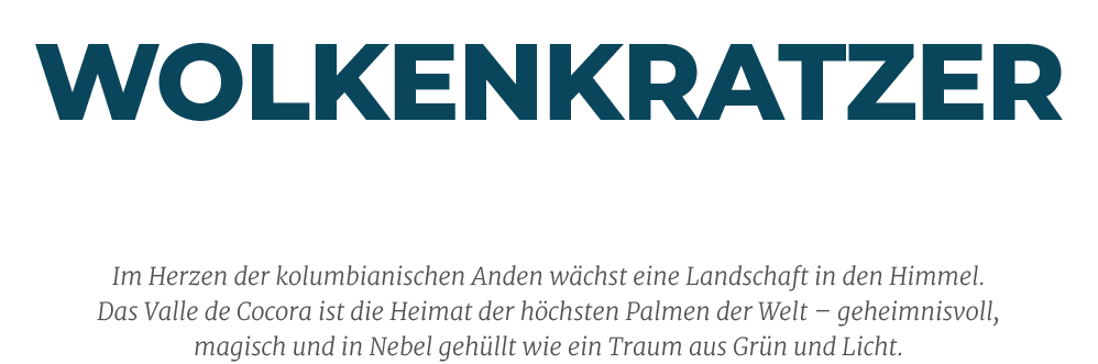 Wolkenkratzer Im Reich der Riesen,Im Herzen der kolumbianischen Anden w chst eine Landschaft in den Himmel. Das Valle...