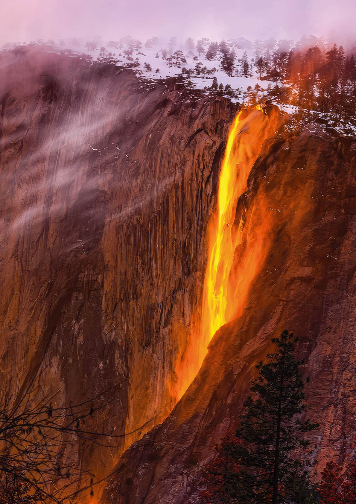 Wasserfall leuchtet orange im Felsen bei Nebel und B umen