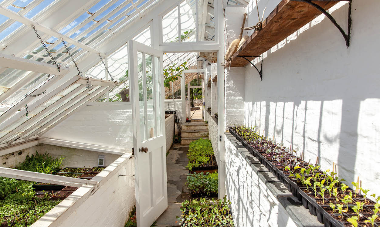 Gew chshaus mit Reihen junger Pflanzen in T pfen und ge ffnetem Durchgang