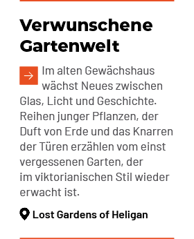 Verwunschene Gartenwelt ￼Im alten Gew chshaus w chst Neues zwischen Glas, Licht und Geschichte. Reihen junger Pflanze...