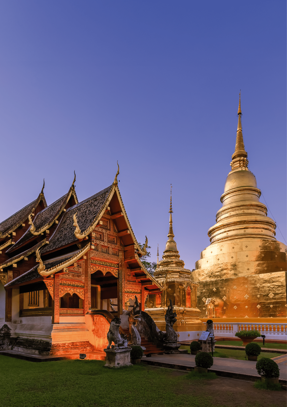 Chapel and golden pagoda at Wat Phra Singh Woramahawihan in Chiang Mai at twilight or night with stars in sky