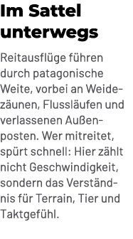 Im Sattel unterwegs Reitausfl ge f hren durch patagonische Weite, vorbei an Weidez unen, Flussl ufen und verlassenen ...