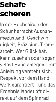 Schafe scheren In der Hochsaison der Schur herrscht Ausnahmezustand: Geschwindigkeit, Pr zision, Teamarbeit. Wer Gl c...