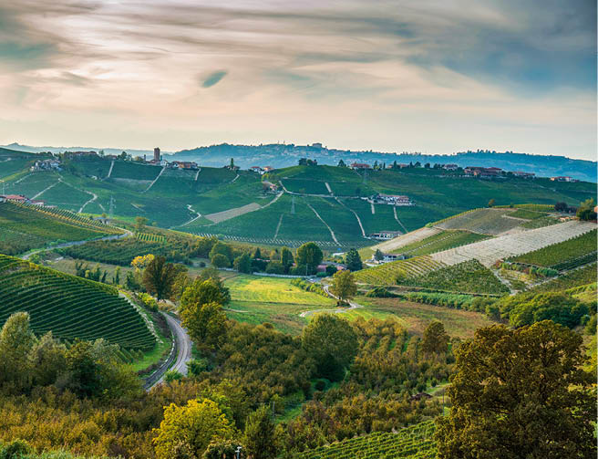 Neive is a comune (municipality) in the Province of Cuneo in the Italian region Piedmont on October 15, 2023, landscape with the vineyards in autumn.