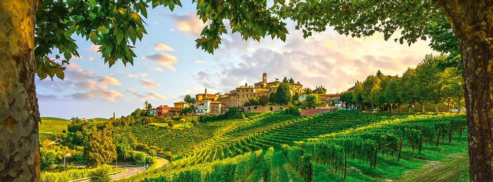Neive village, Langhe vineyards and trees as a frame. Unesco Site, Piedmont, Northern Italy Europe.