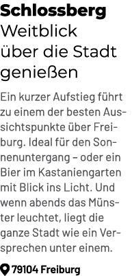 Schlossberg Weitblick ber die Stadt genie en Ein kurzer Aufstieg f hrt zu einem der besten Aussichtspunkte  ber Frei...
