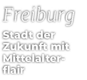 Freiburg Stadt der Zukunft mit Mittelalter flair