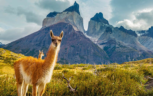 Beautiful mountain landscapes in Torres Del Paine National Park, Chile.