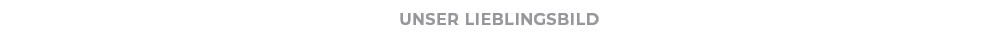 Unser LIEBLINGSBIL