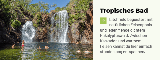 Tropisches Bad ￼Litchfield begeistert mit nat rlichen Felsenpools und jeder Menge dichtem Eukalyptuswald. Zwischen Ka...
