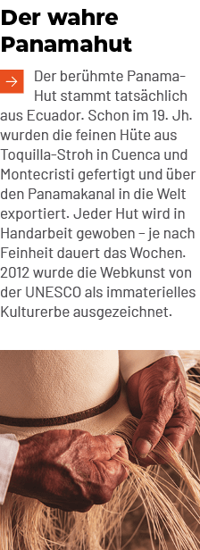 Der wahre Panamahut ￼Der ber hmte Panama Hut stammt tats chlich aus Ecuador. Schon im 19. Jh. wurden die feinen H te ...