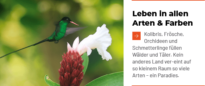Leben in allen Arten & Farben ￼Kolibris, Fr sche, Orchideen und Schmetterlinge f llen W lder und T ler. Kein anderes ...