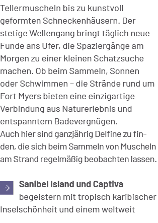 Tellermuscheln bis zu kunstvoll geformten Schneckenh usern. Der stetige Wellengang bringt t glich neue Funde ans Ufer...