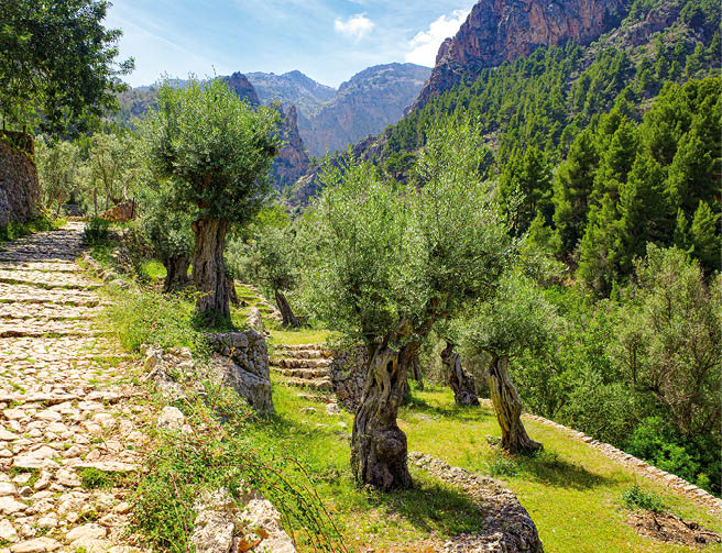 Mallorca, Spain - 12 June, 2023: The Barranc de Biniaraix and GR221 hiking trails in the Tramuntana Mountains, Mallorca