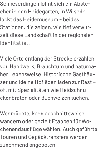 Schneverdingen lohnt sich ein Abstecher in den Heidegarten, in Wilsede lockt das Heidemuseum – beides Stationen, die ...