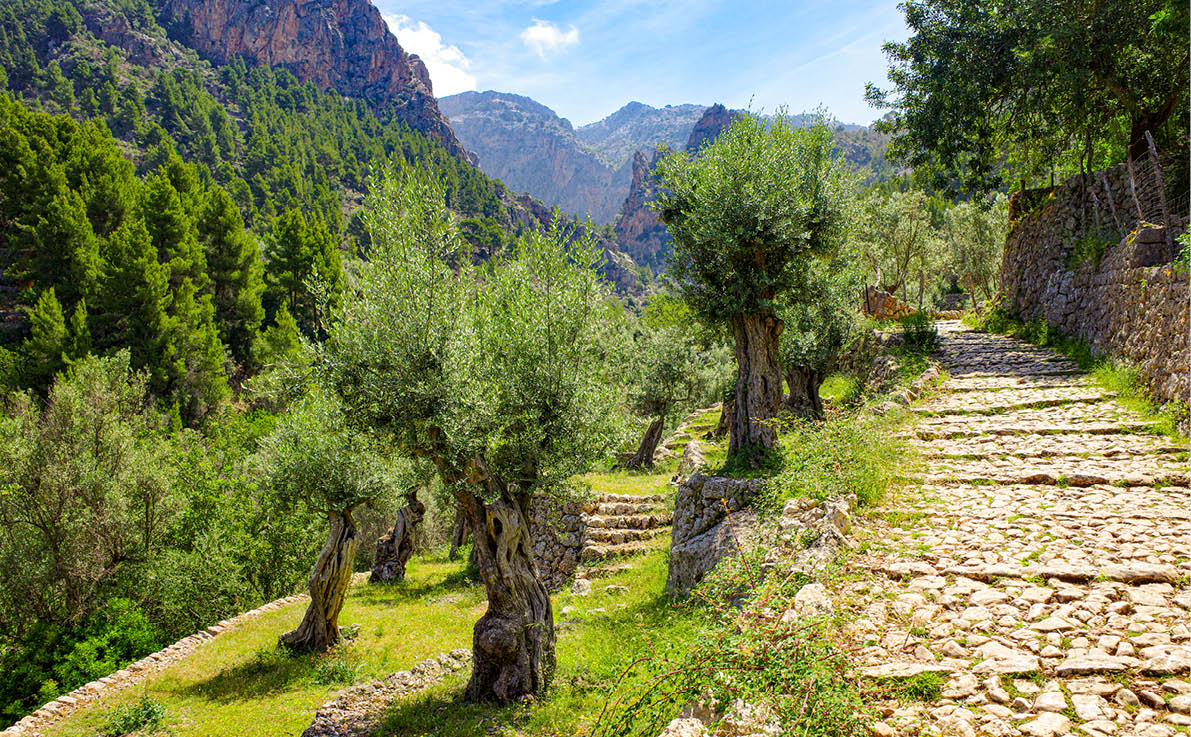 Mallorca, Spain - 12 June, 2023: The Barranc de Biniaraix and GR221 hiking trails in the Tramuntana Mountains, Mallorca